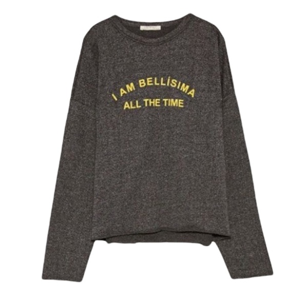 Zara Tops - Zara Trafaluc Bellisima All The Time Space Gray Heathered Boyfriend Sweater